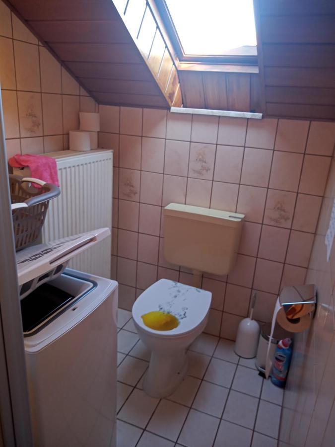 Wohnung Mit 2 - 3 Zimmern Ballenberg Экстерьер фото