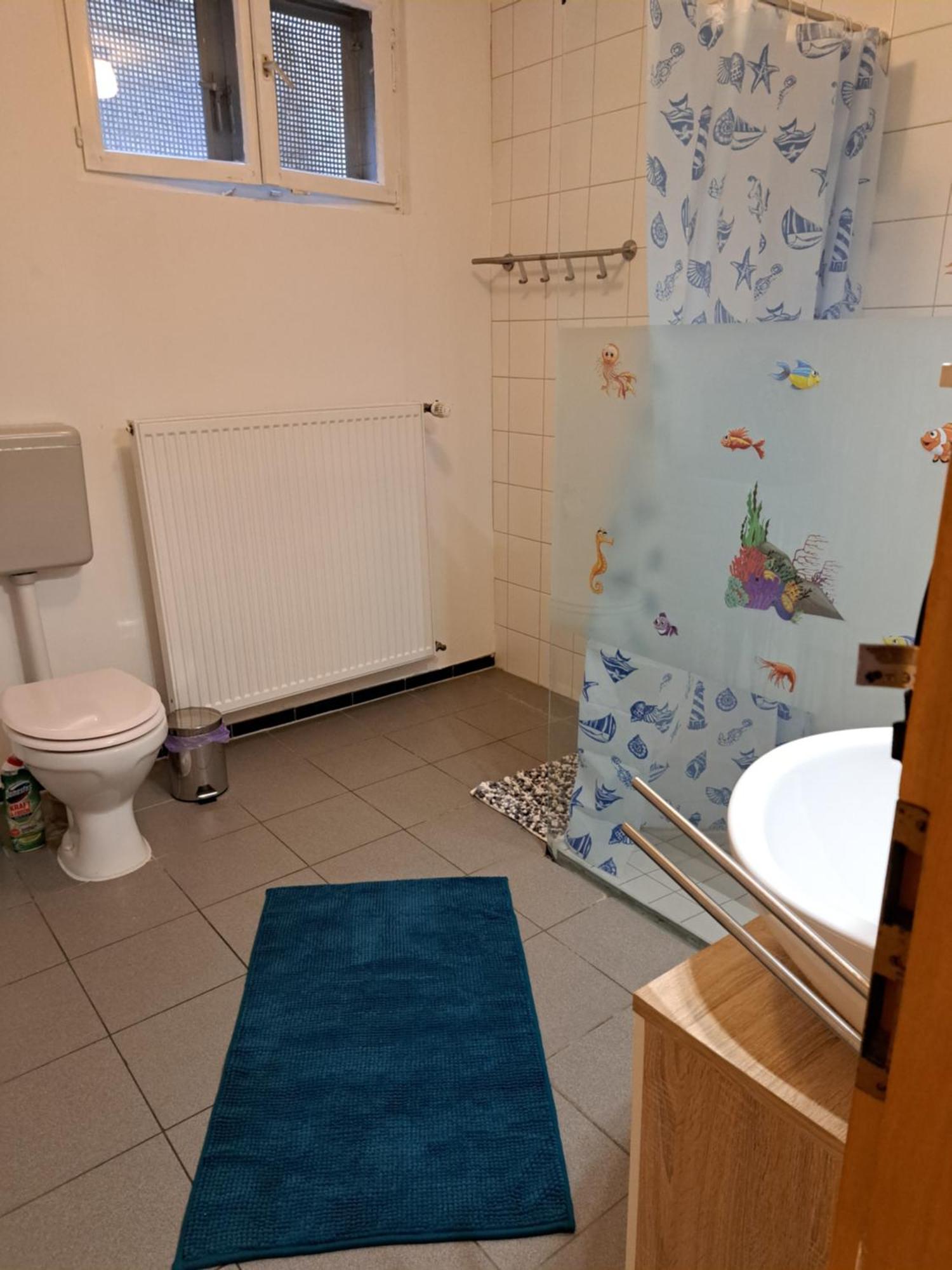 Wohnung Mit 2 - 3 Zimmern Ballenberg Экстерьер фото